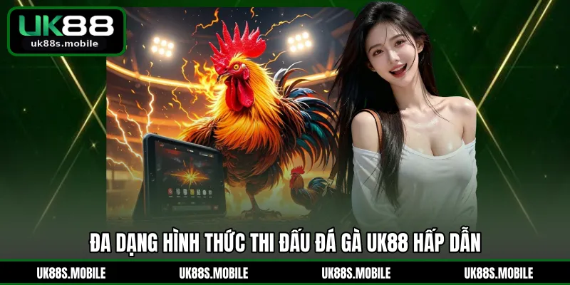 Đa dạng hình thức thi đấu đá gà UK88 hấp dẫn