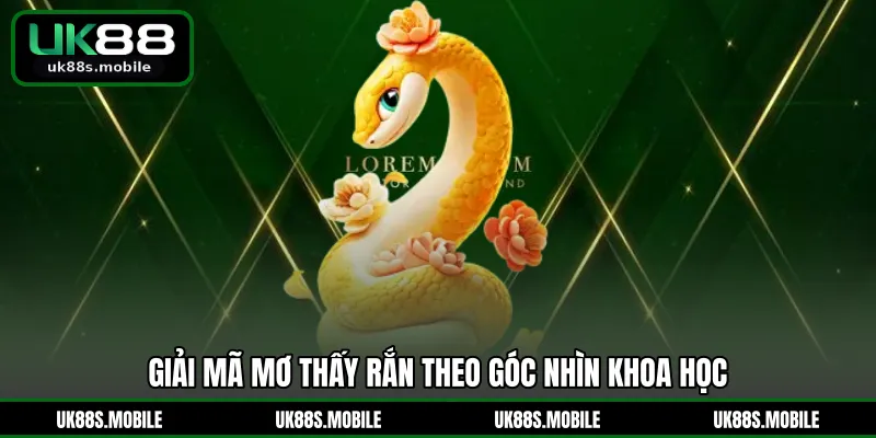 Giải mã mơ thấy rắn theo góc nhìn khoa học