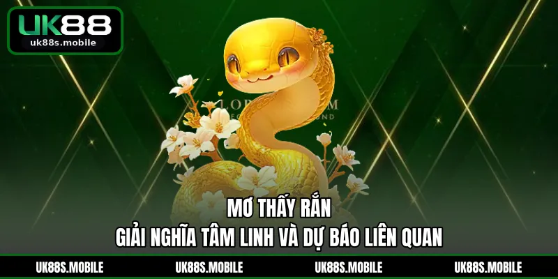Mơ Thấy Rắn - Giải Nghĩa Tâm Linh Và Dự Báo Liên Quan